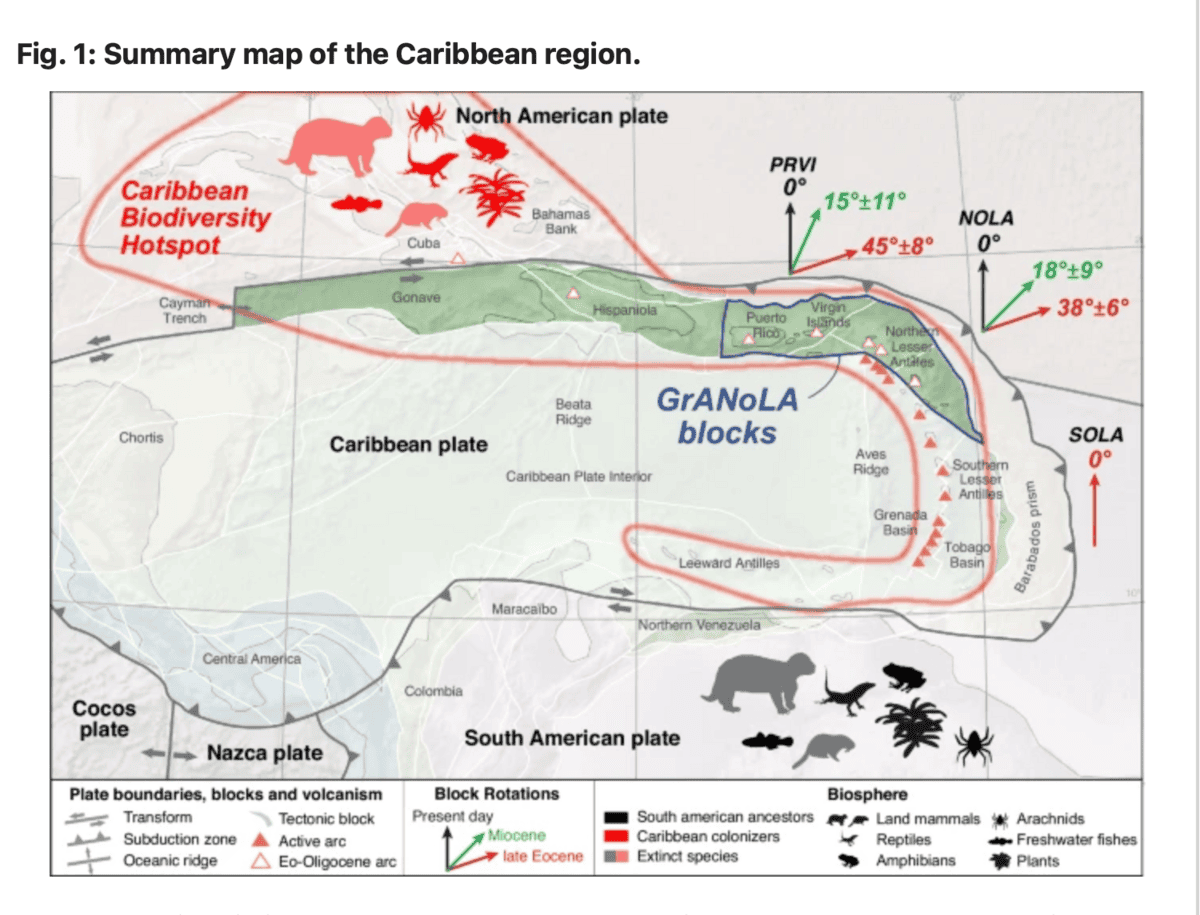 Biodiversité caribéenne : une nouvelle clé géologique