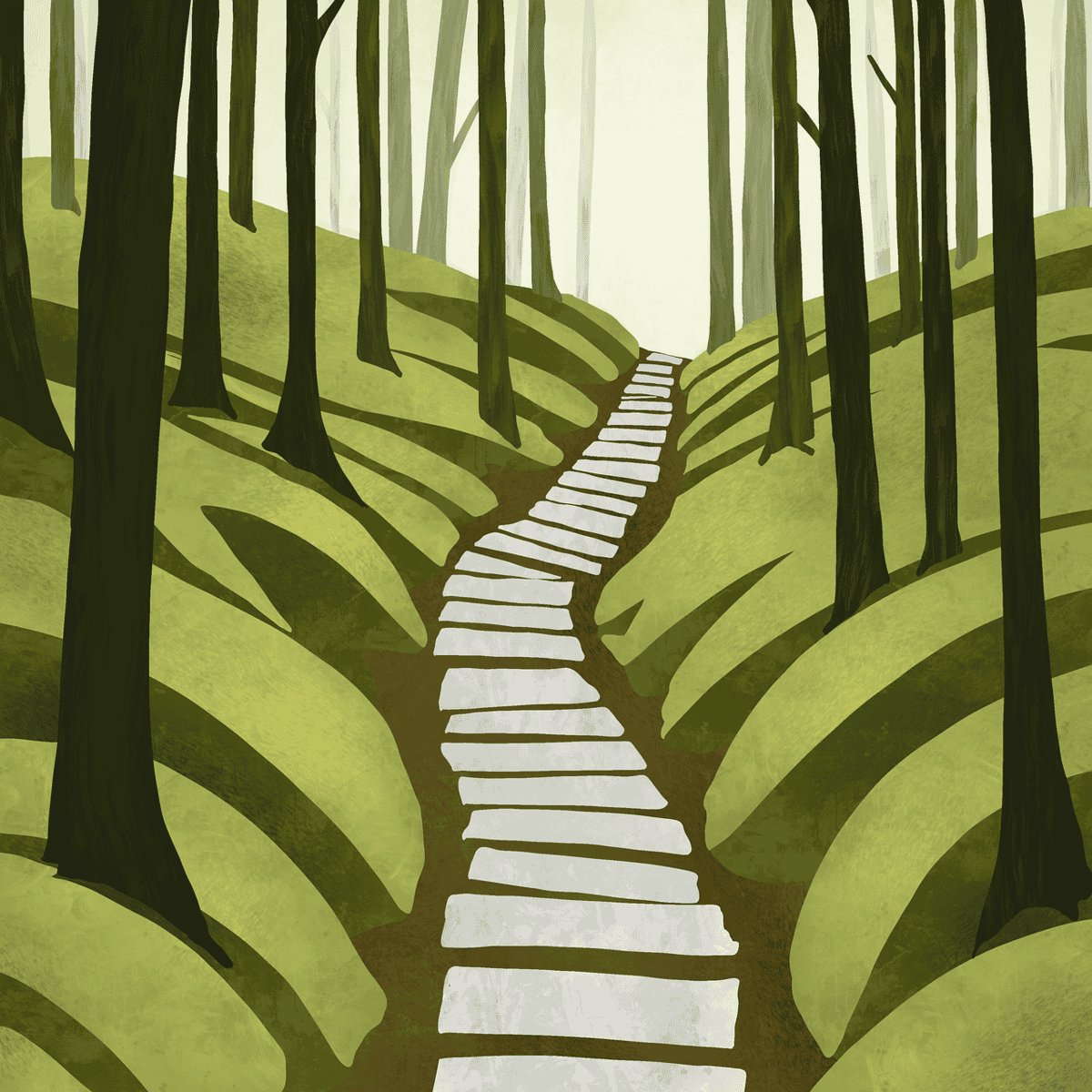 Drame sur le sentier du Rorota : une jeune femme tuée par la chute d’un arbre