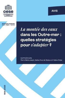 Les Outre-mer doivent s'adapter à l'inéluctable montée des eaux