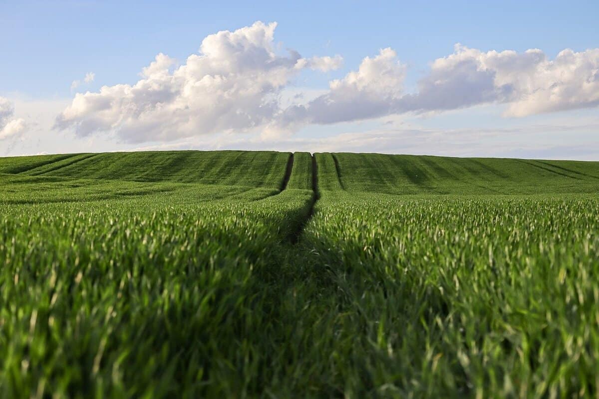 Crise du foncier agricole : un frein à la souveraineté alimentaire ultramarine