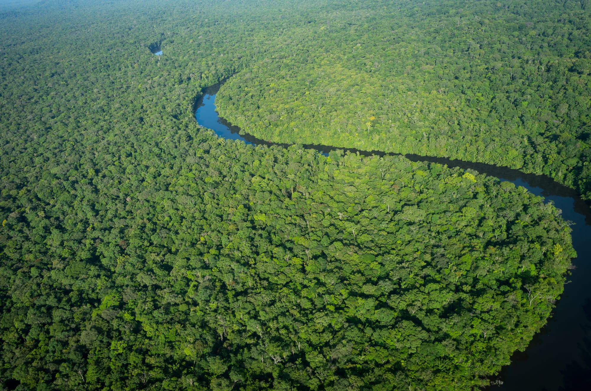 Dans l'intérieur guyanais, tout arrive par avion et la Collectivité vient d'en revoir les règles