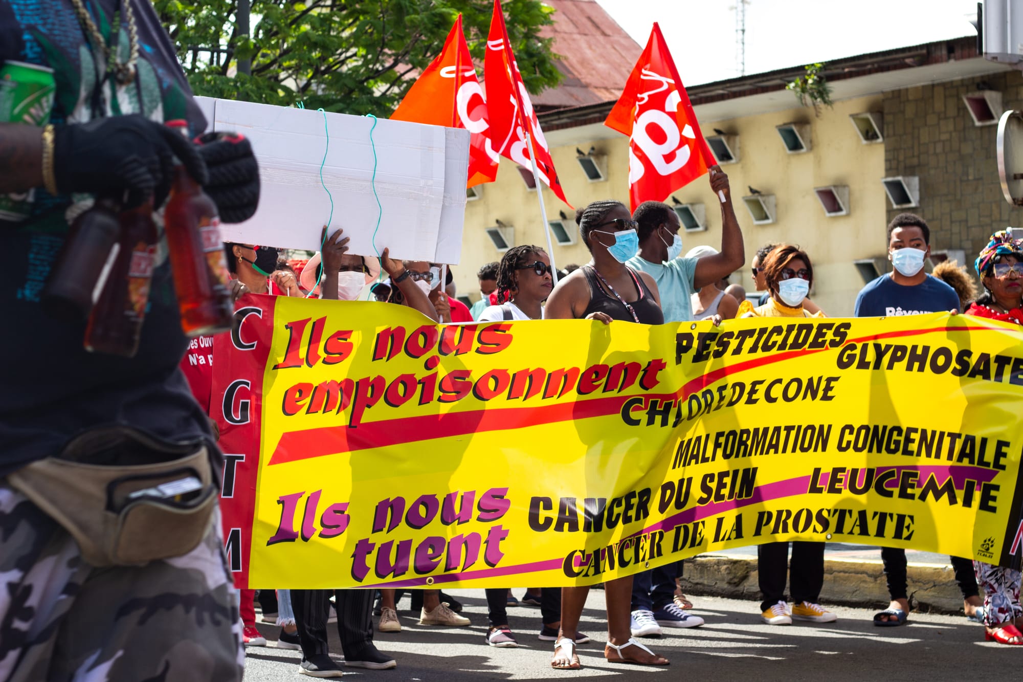 Chlordécone : la loi reconnaissant la responsabilité de l’État publiée au Journal officiel