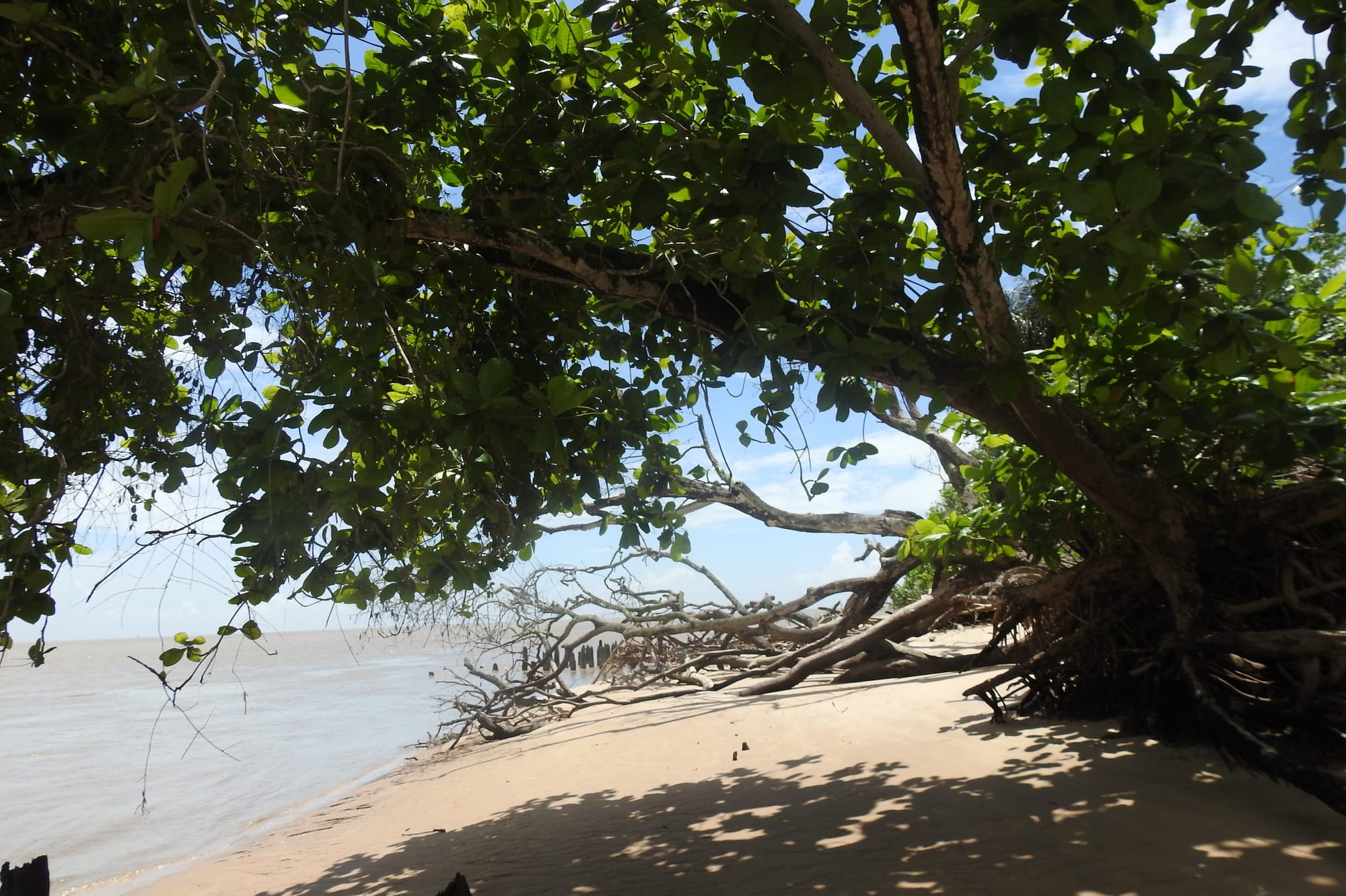 Juillet 2026, le plus sec depuis 59 ans en Guyane : agriculture, pêche et gestion de l'eau sous stress