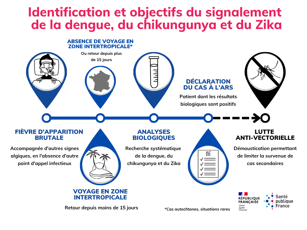 Chikungunya : bulletin du 6 août, 1 418 cas confirmés en Guyane, l'épidémie bascule vers la Savane pendant que l'Ouest décélère